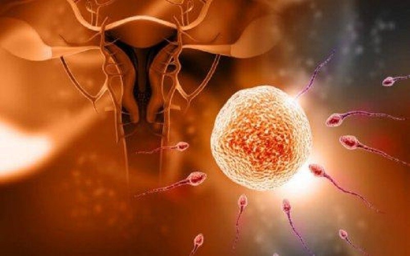 Síntomas De Un Embarazo Ginecología Y Obstetricia Cambios Hormonalesclínica De Ginecología 0586